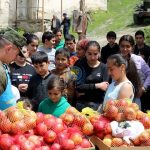 Նիպահ վիրուսով հարուցված հիվանդության մասին