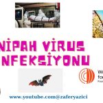 Ռուսաստանի դեսպանը բարձր է գնահատել Ռուս-հայկական հումանիտար արձագանքման կենտրոնի աշխատանքը