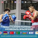 Հայաստանի Ազգային օլիմպիական կոմիտեն և բռնցքամարտի ֆեդերացիան աջակցություն են հայտնել Գարիկ Ծառուկյանին
